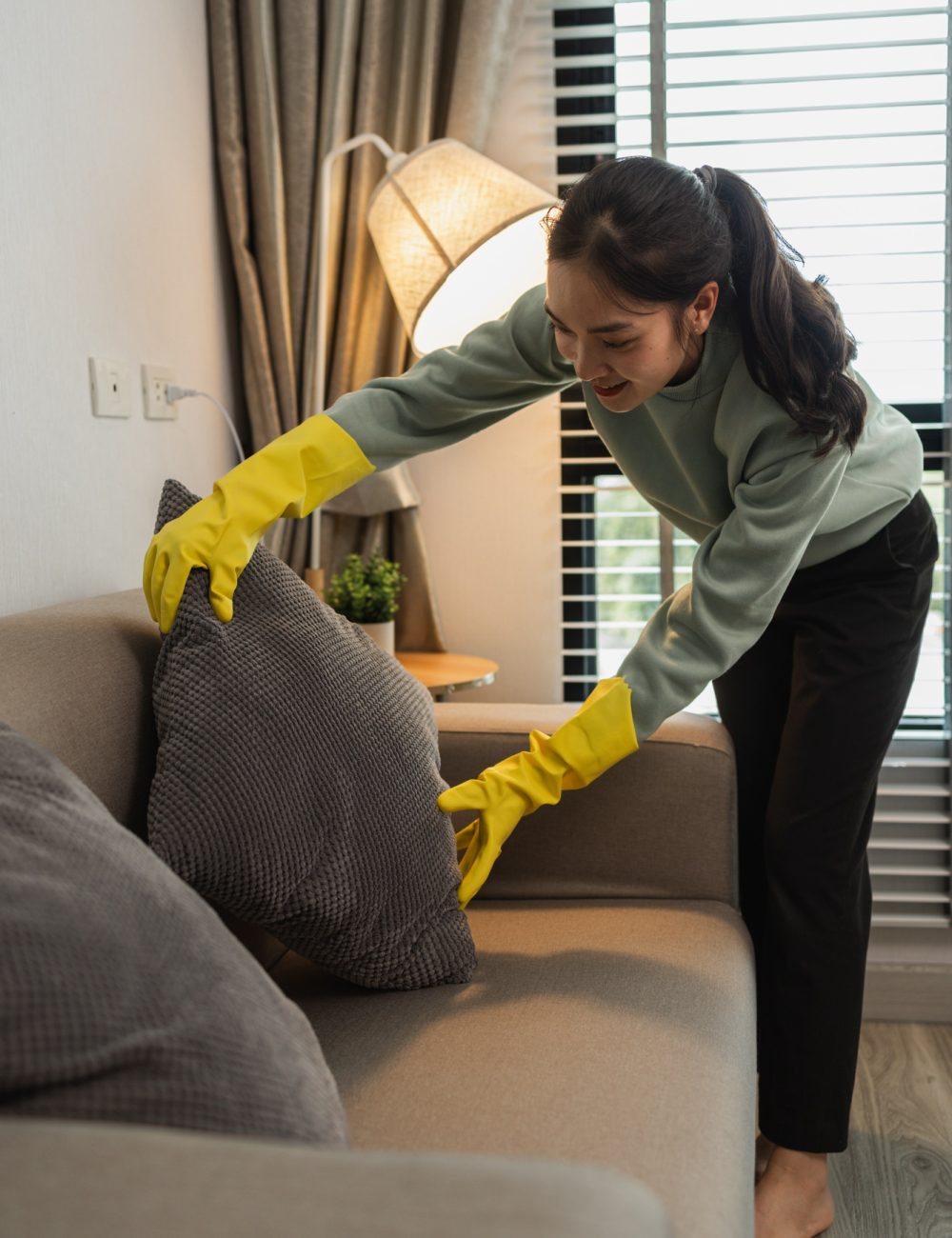 the housewife is cleaning the house, the wife is cleaning